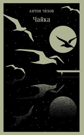 Чайка